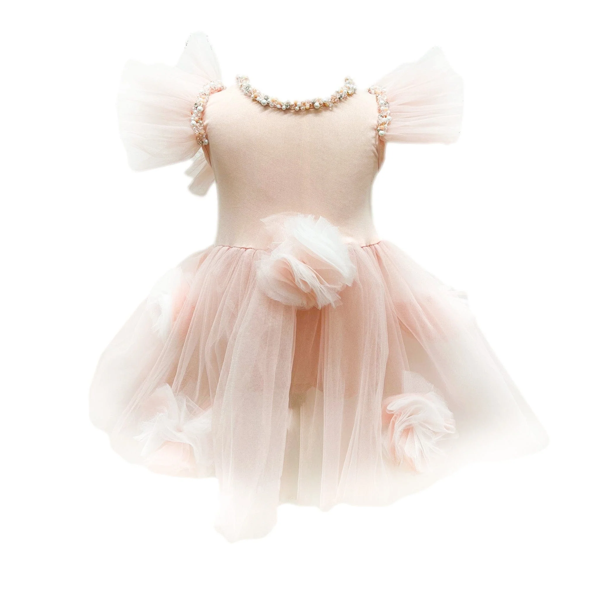 Sugar Plum Leotard Tutu Dress