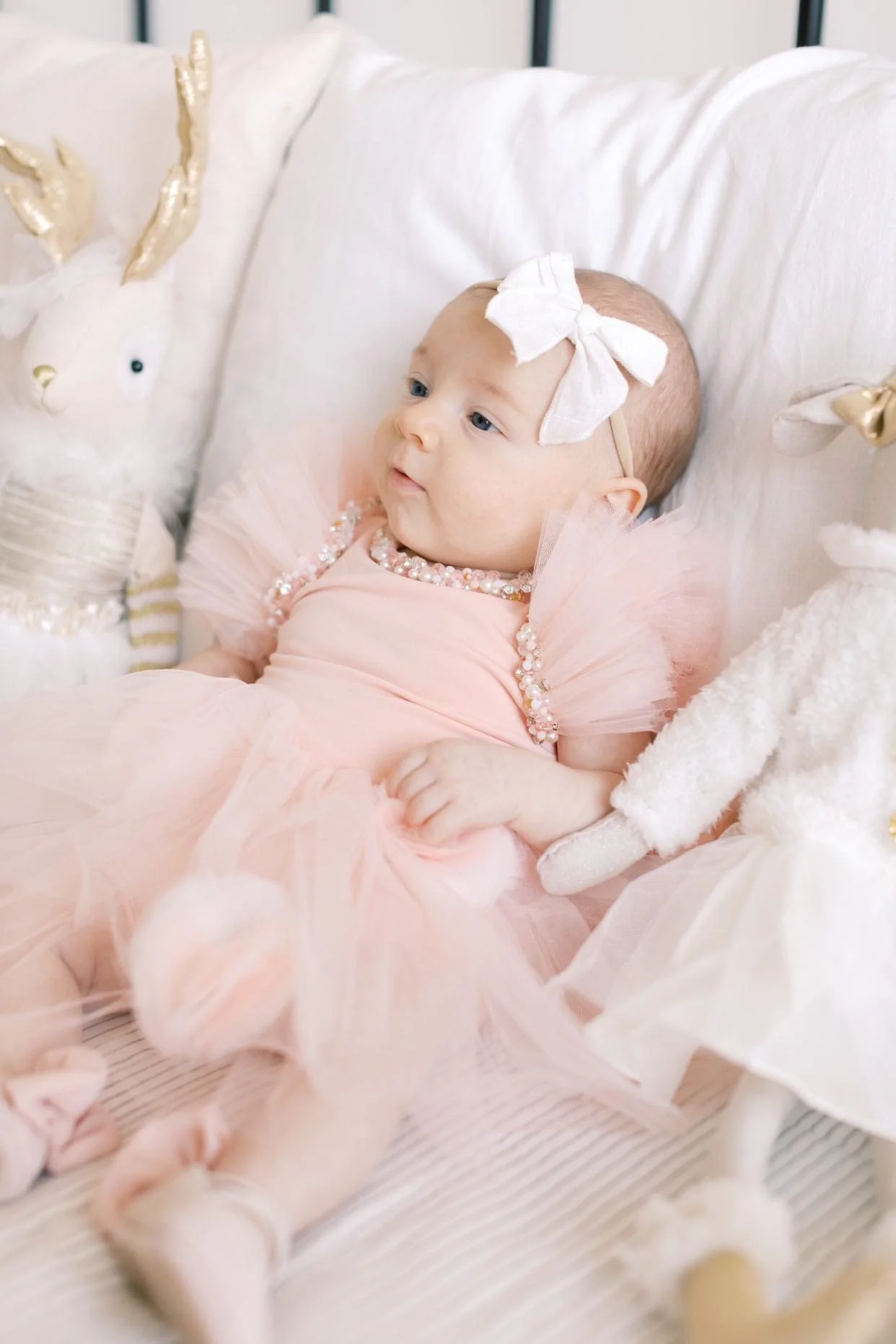 Sugar Plum Leotard Tutu Dress - Image 10