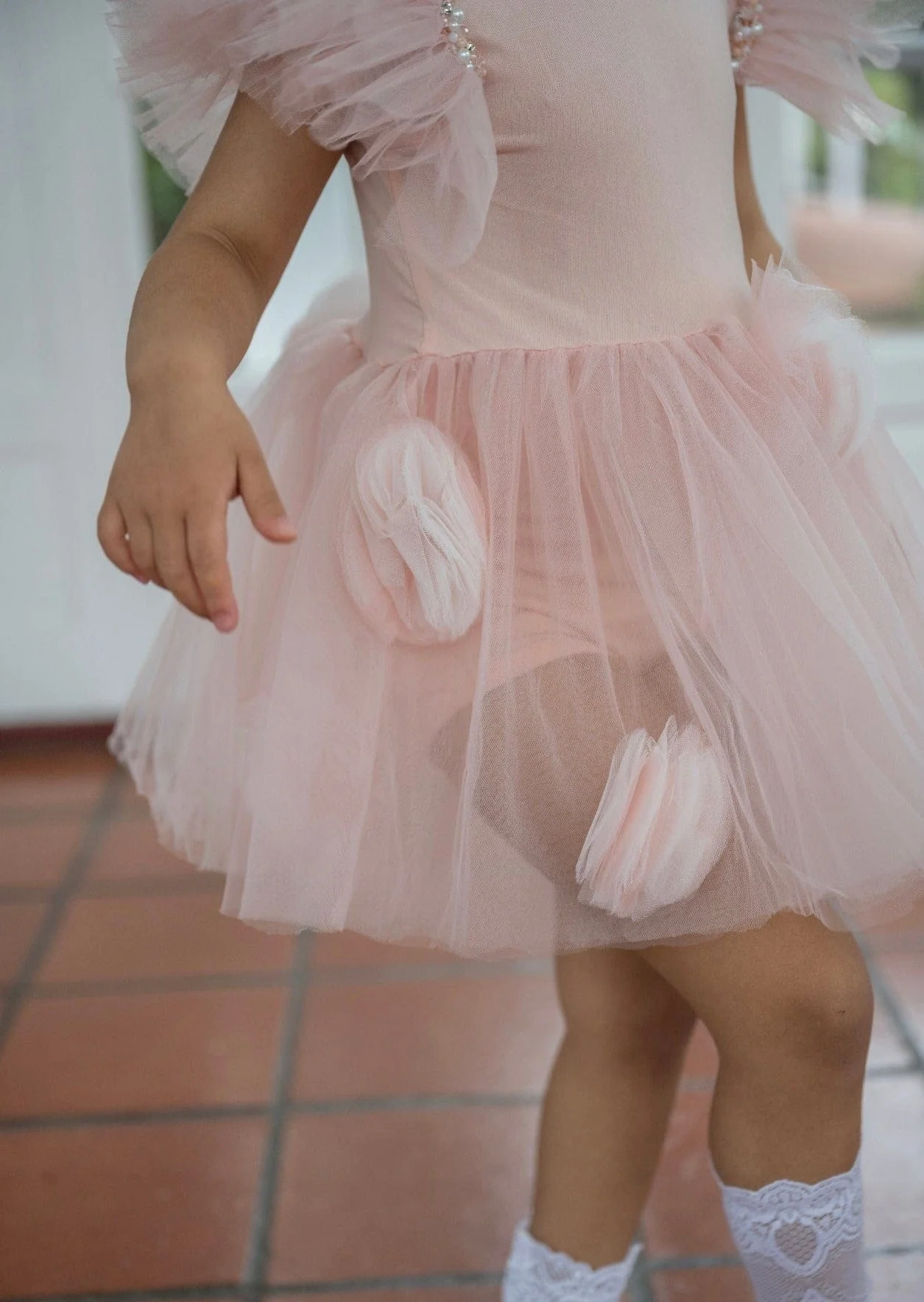 Sugar Plum Leotard Tutu Dress - Image 12