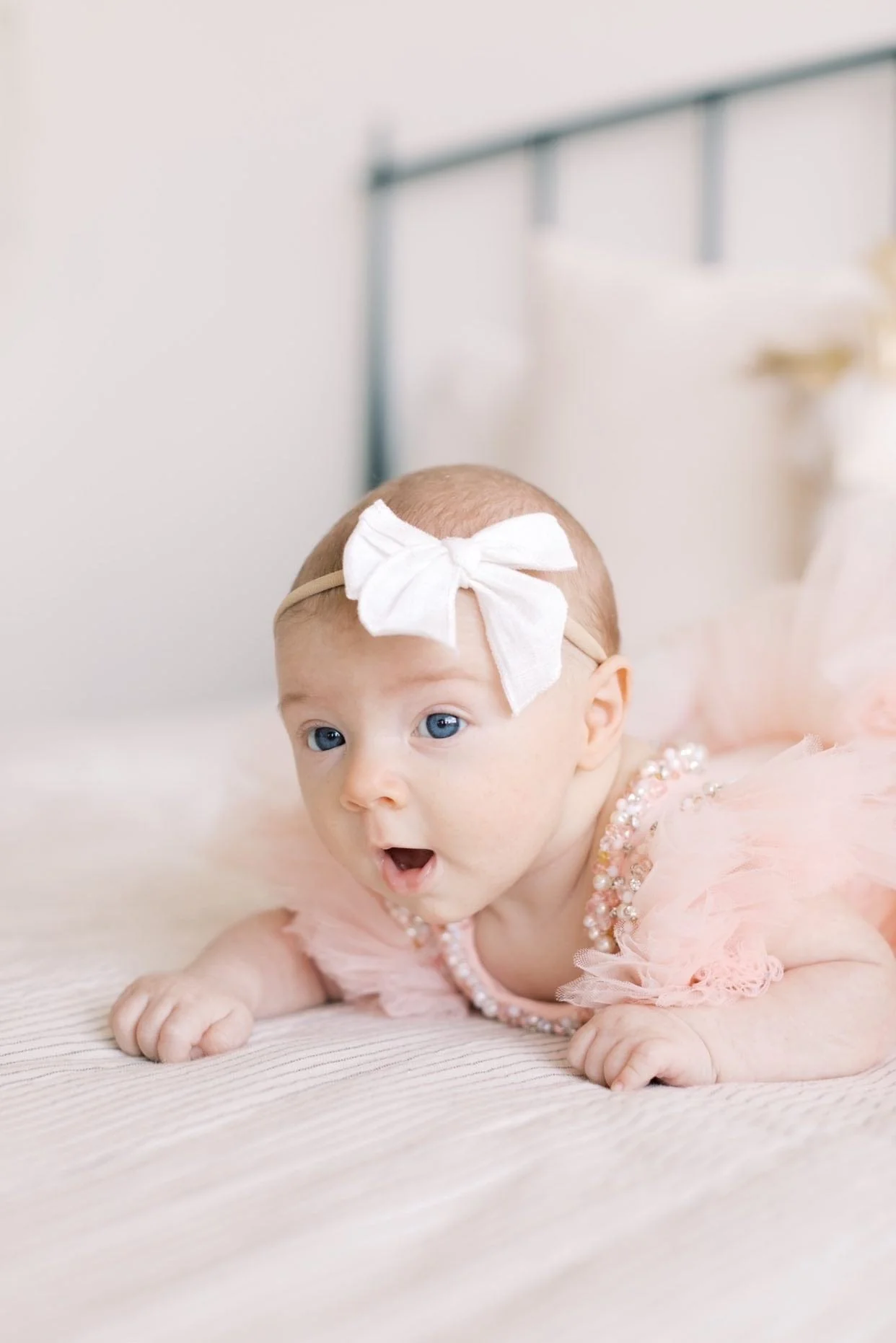 Sugar Plum Leotard Tutu Dress - Image 13