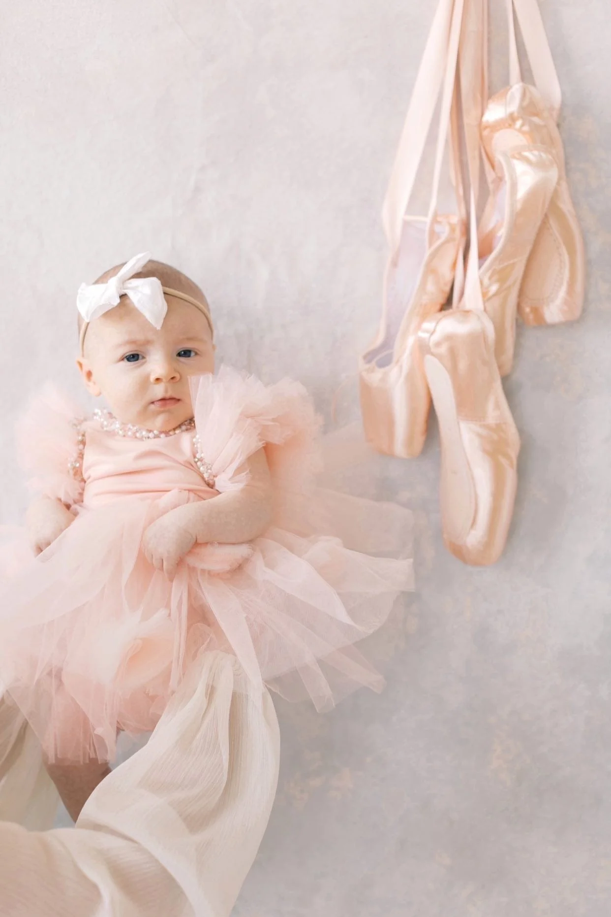Sugar Plum Leotard Tutu Dress - Image 3