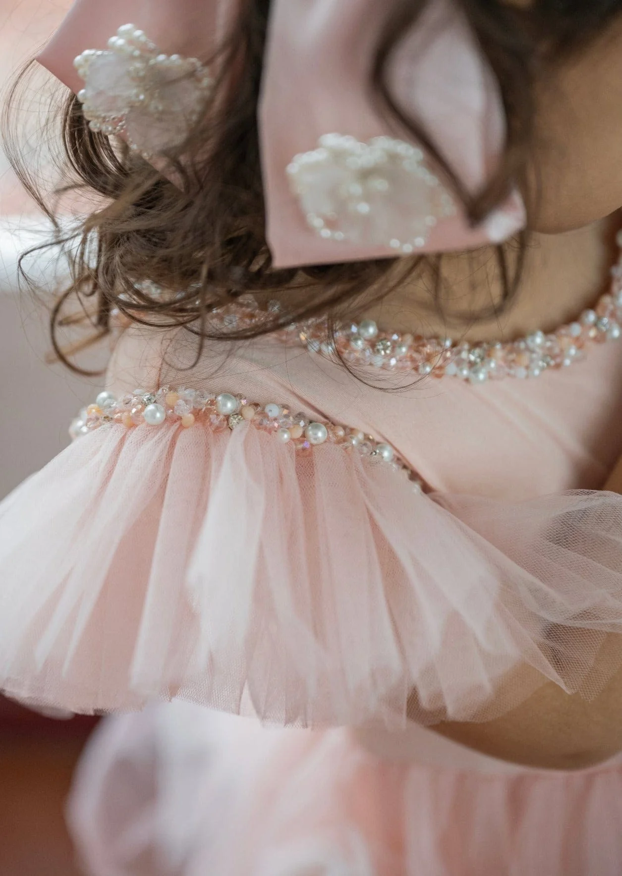 Sugar Plum Leotard Tutu Dress - Image 8