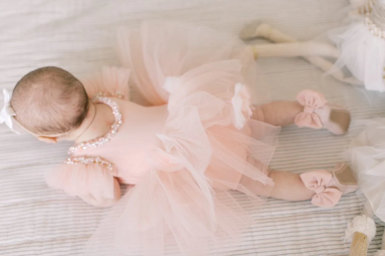 Sugar Plum Leotard Tutu Dress - Image 9