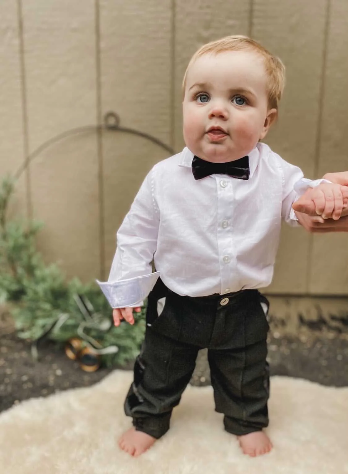 Black Velvet Bow Tie - Image 5