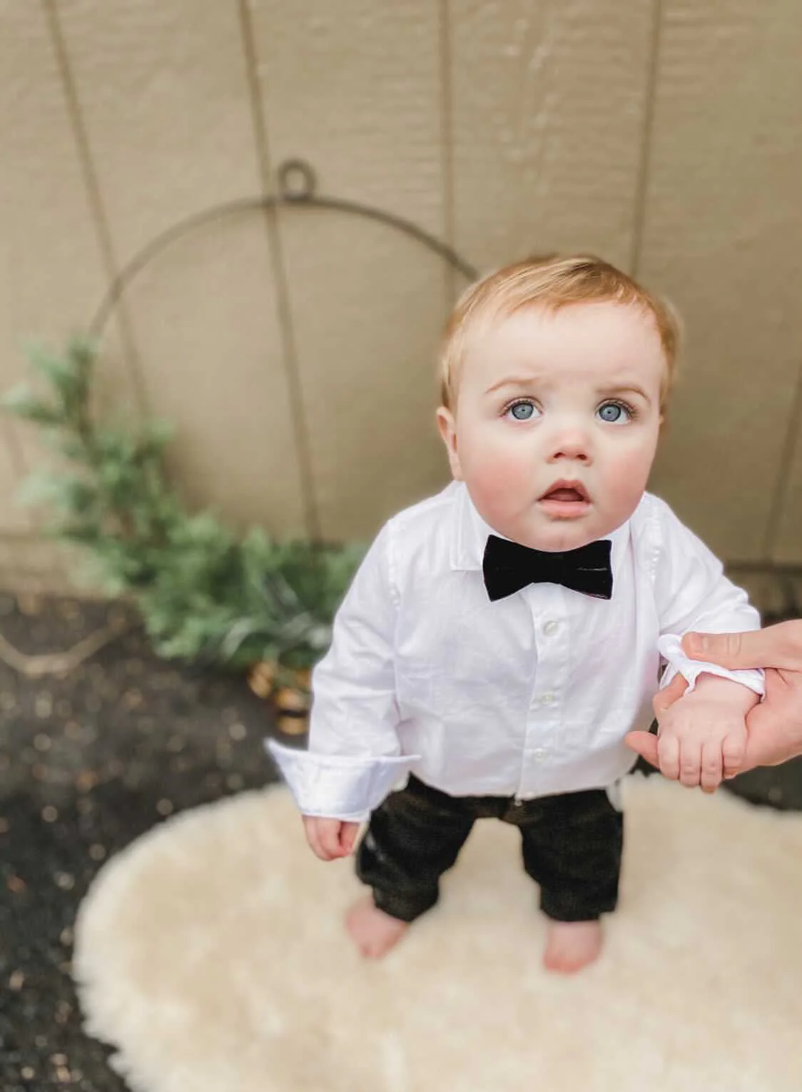 Black Velvet Bow Tie - Image 6