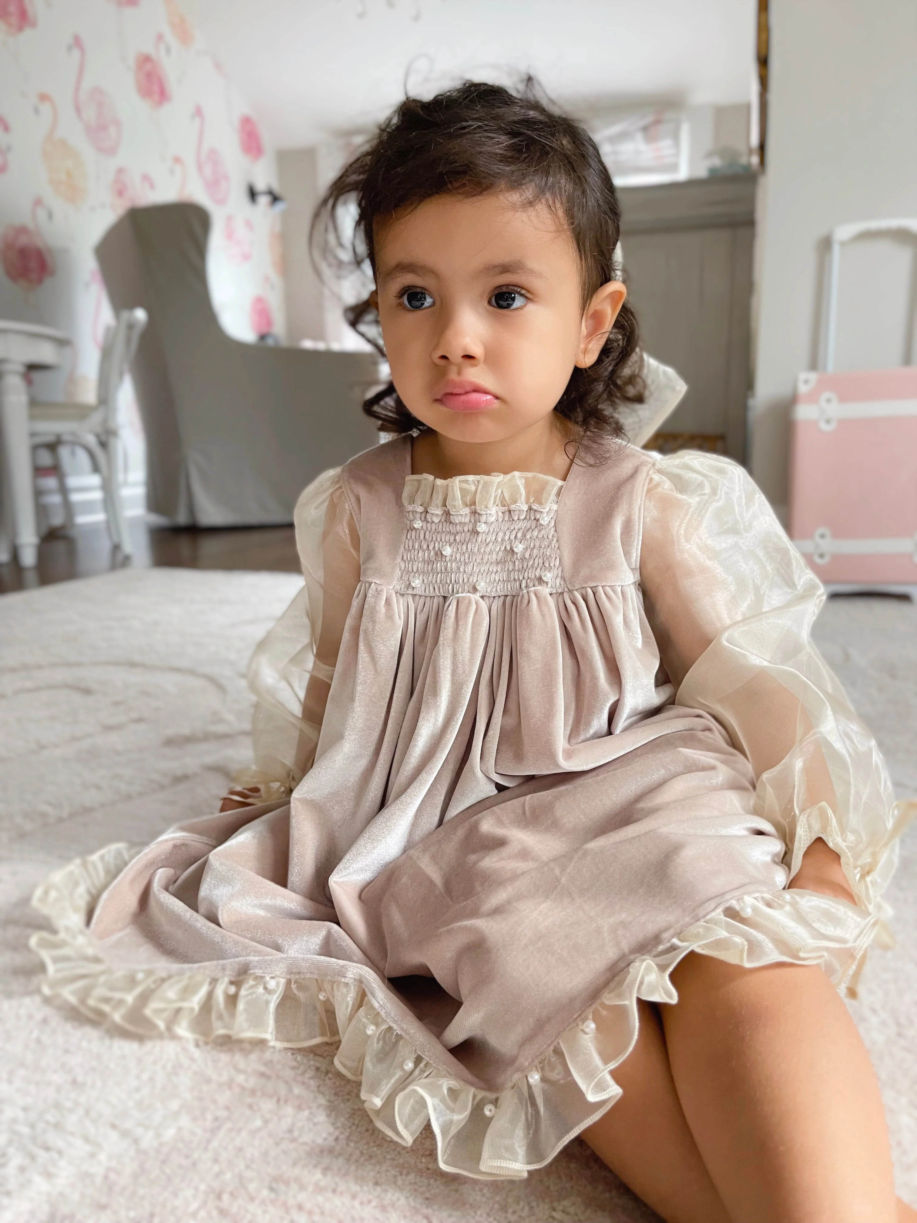 Helena Velour Beige Dress With Organza Sleeves - Image 10
