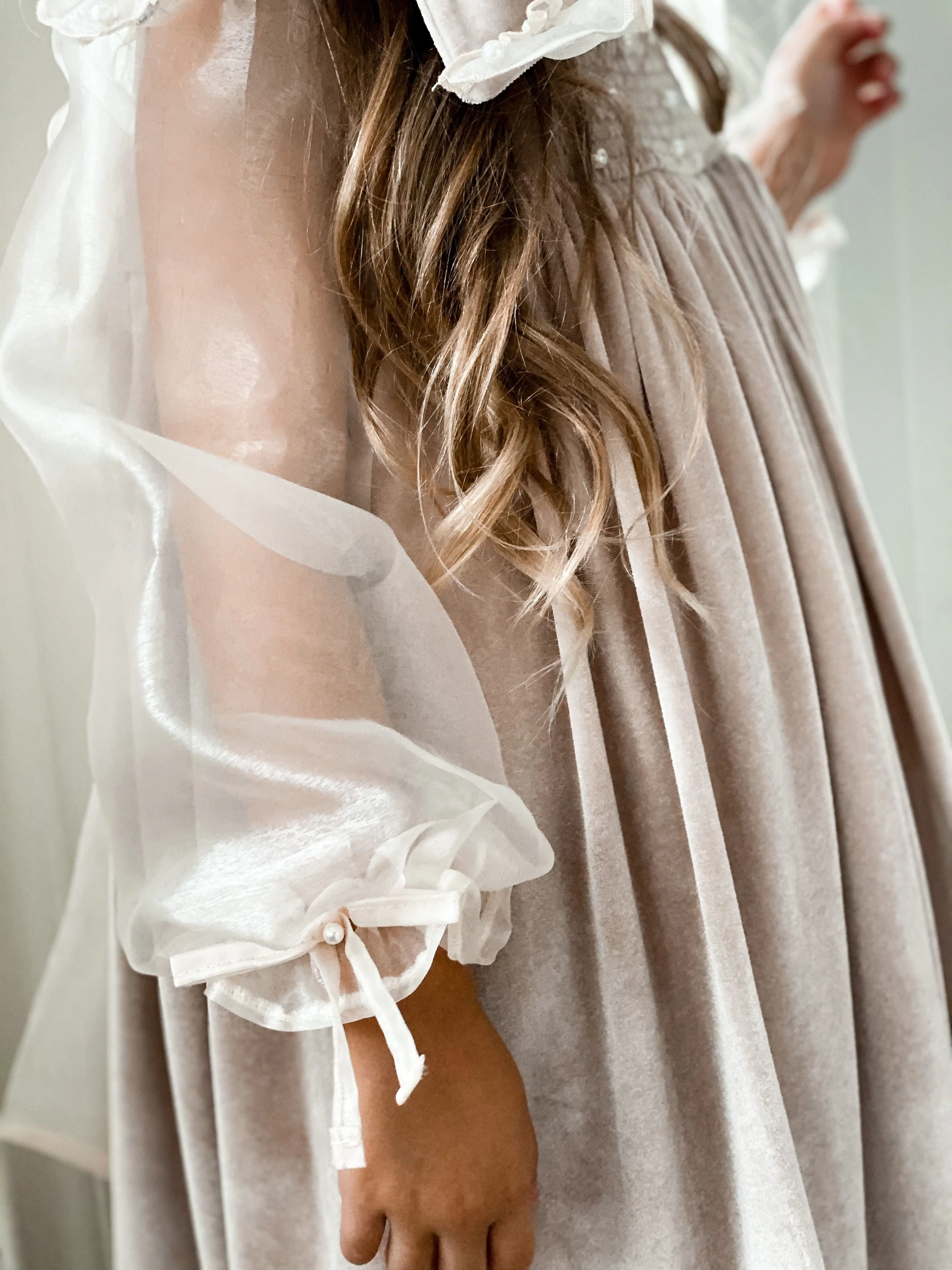 Helena Velour Beige Dress With Organza Sleeves - Image 11