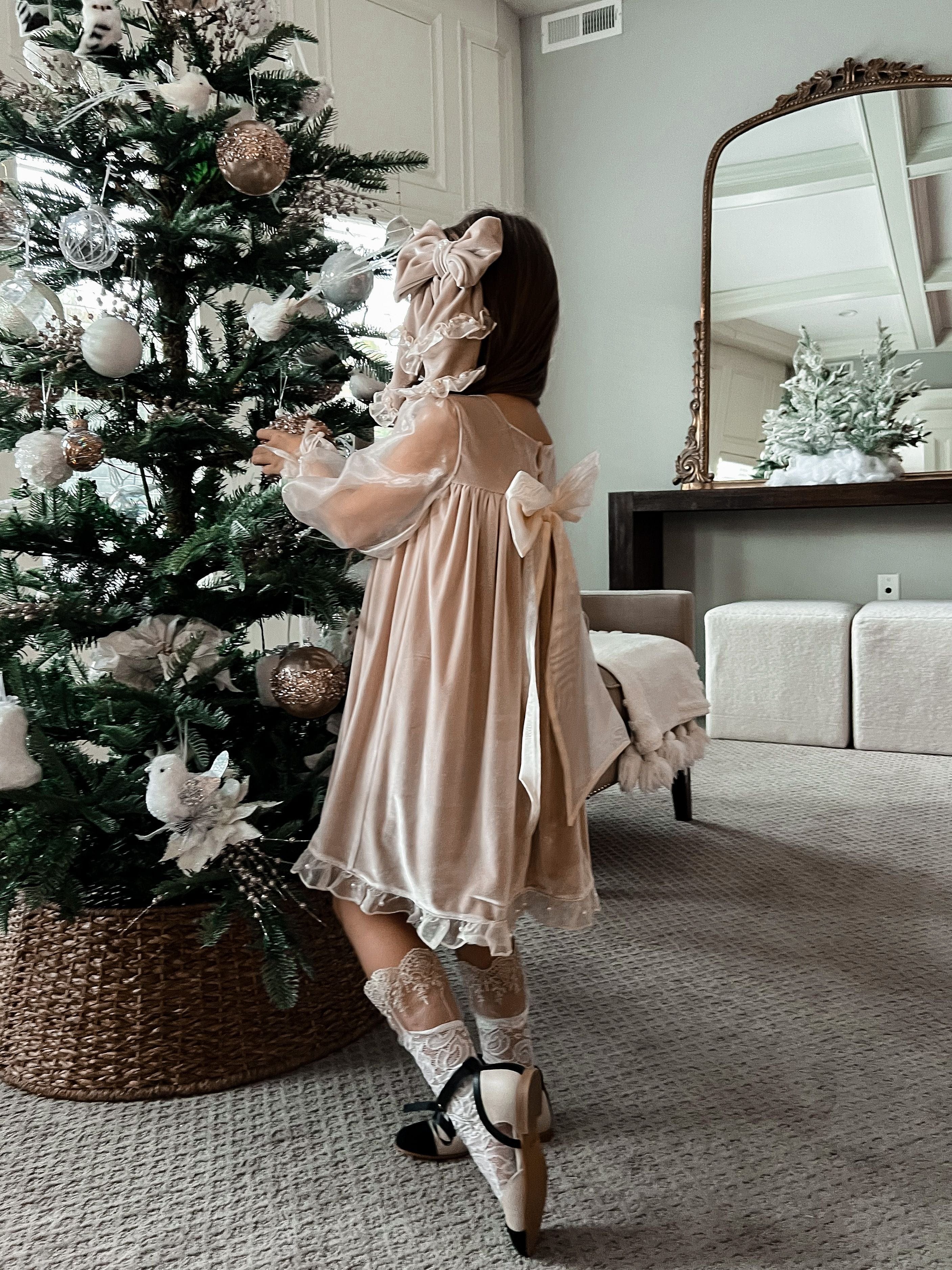 Helena Velour Beige Dress With Organza Sleeves - Image 17