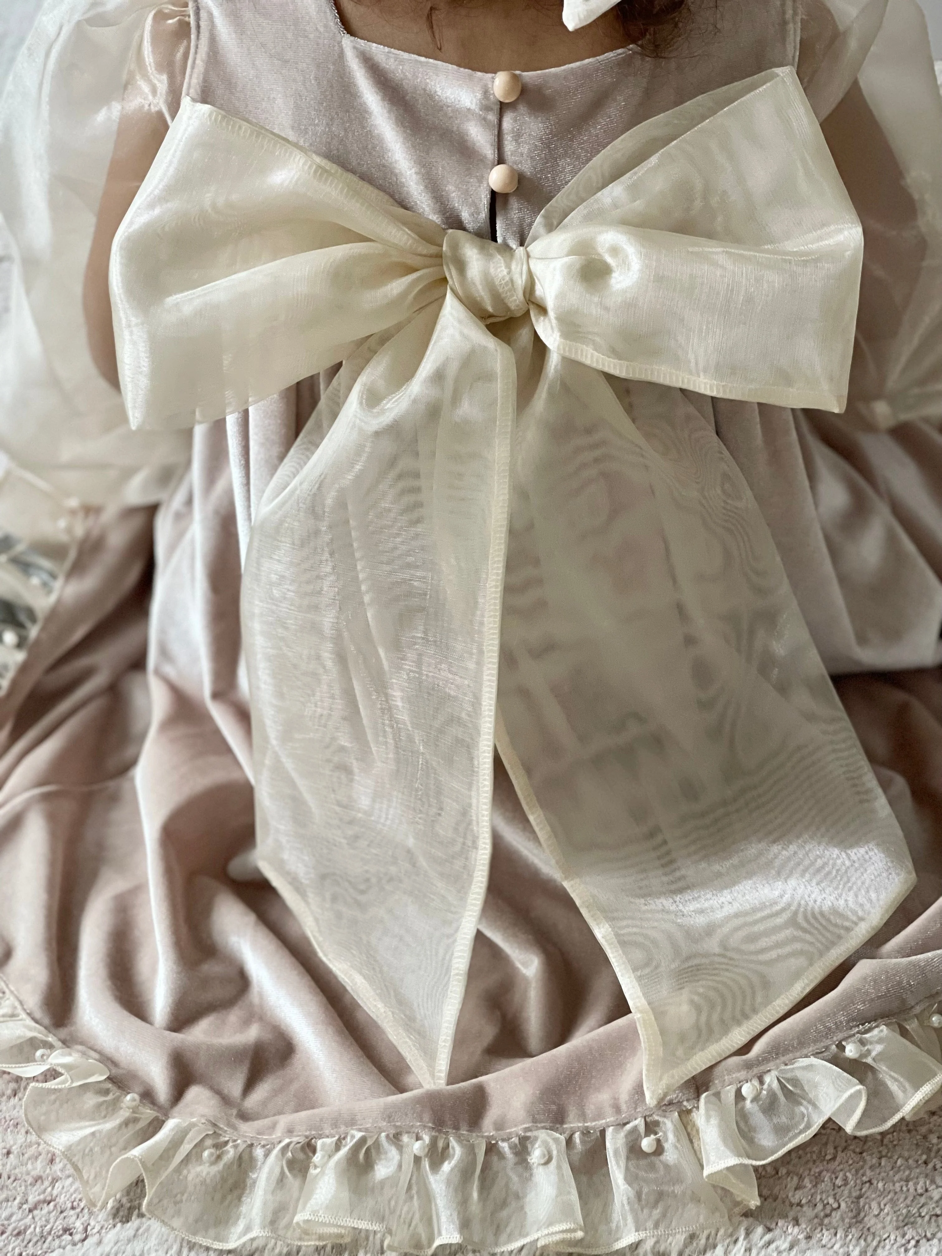 Helena Velour Beige Dress With Organza Sleeves - Image 18
