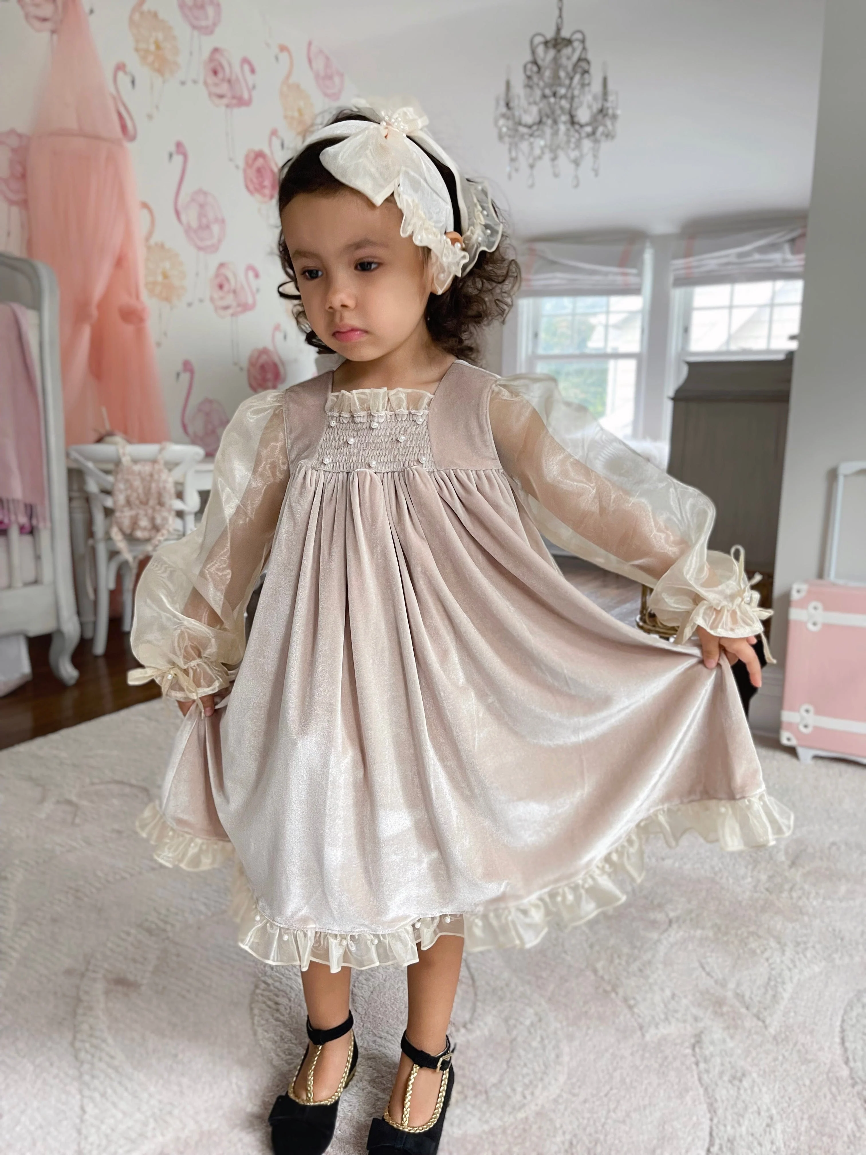 Helena Velour Beige Dress With Organza Sleeves - Image 3