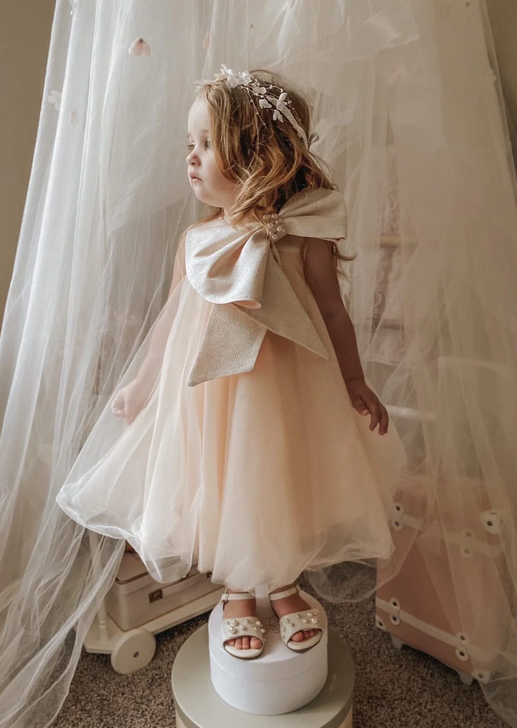 Jackie Peach Tulle Dress - Image 7