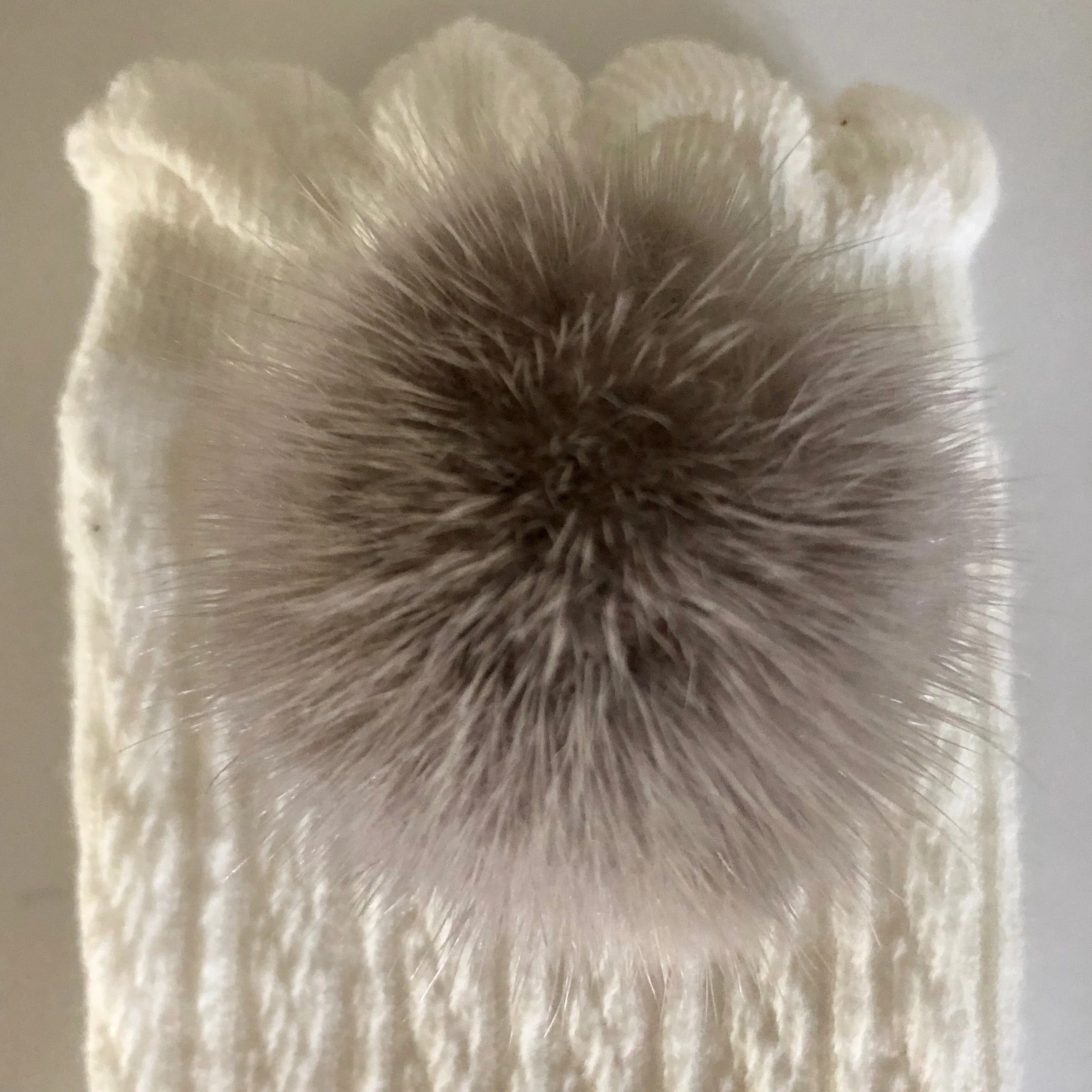 White Knee High Socks with Poms - Image 20
